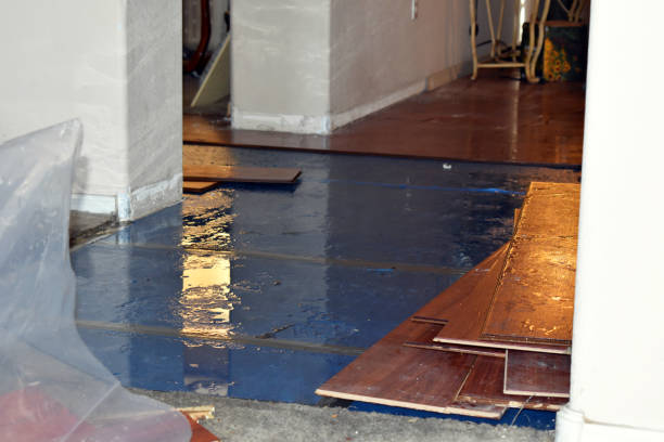 Professional Basement Flood Cleanup technician working in North Attleboro, MA